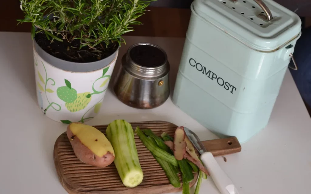 Parlons traitement des biodéchets : déchets alimentaires de légumes épluchés et compost