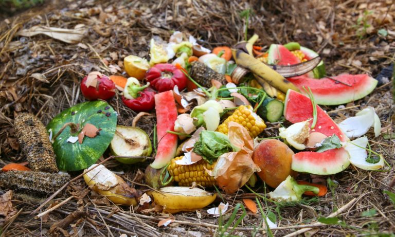 Valoriser les biodéchets : transformer vos biodéchets alimentaires